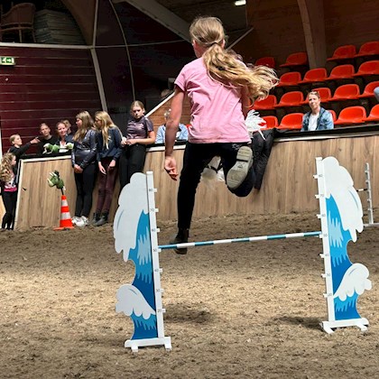 Stokpaardjes race